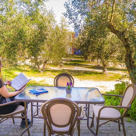 Palatino 3* 릭수리